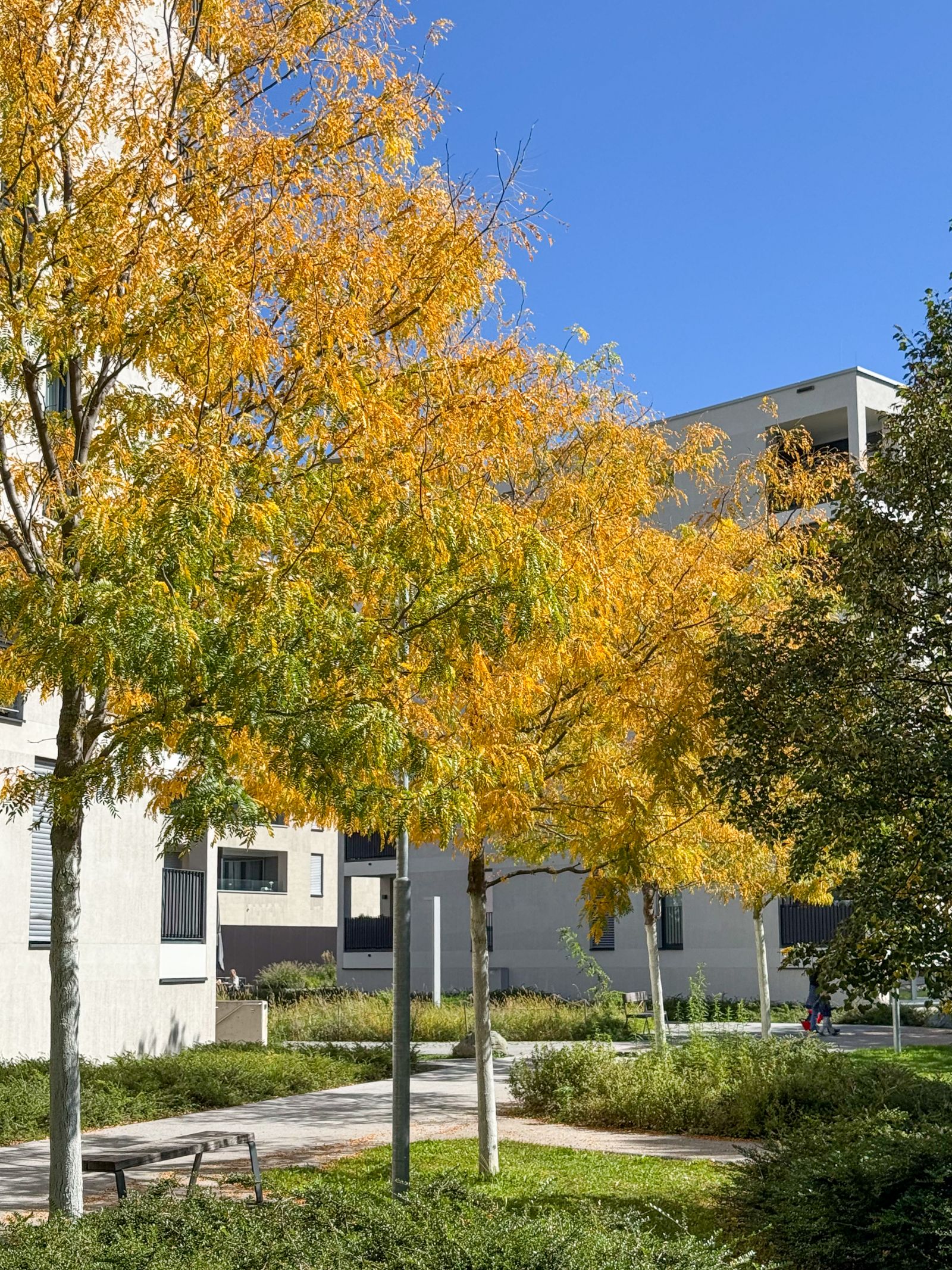 Andechsstraße Innsbruck
