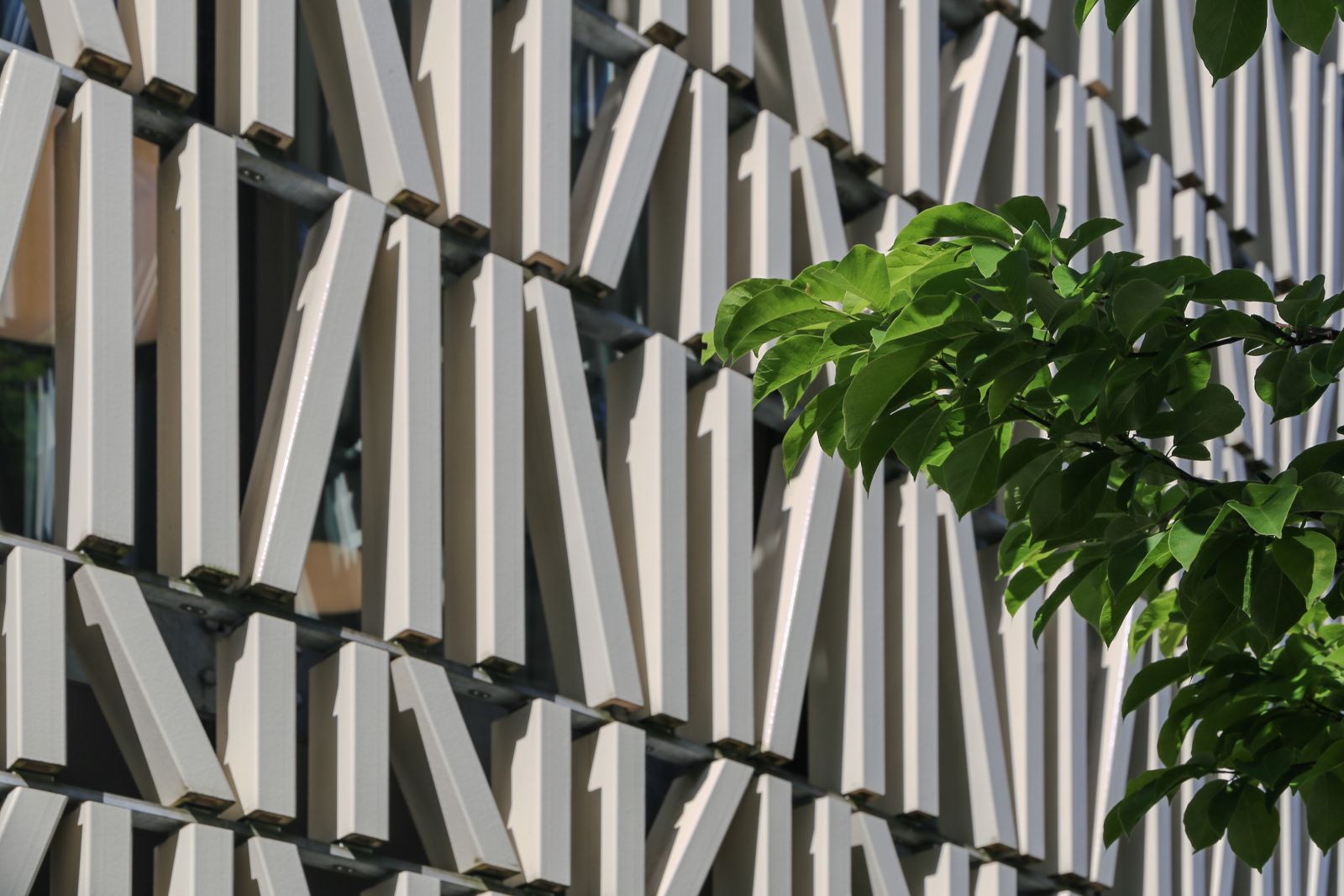 Stadtbibliothek Dornbirn